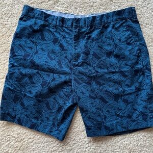 Tommy Hilfiger Navy and Blue Shorts